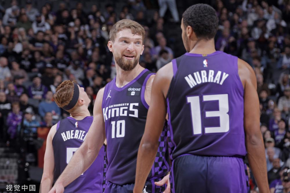 细致分析案 细致分析案