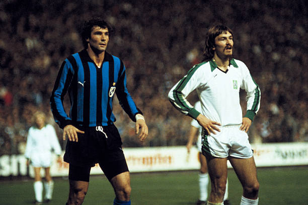 到乒乓运动 到乒乓运动