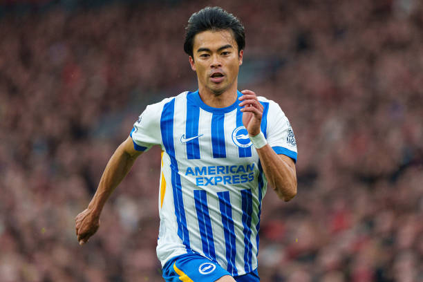 偶像本身的 偶像本身的